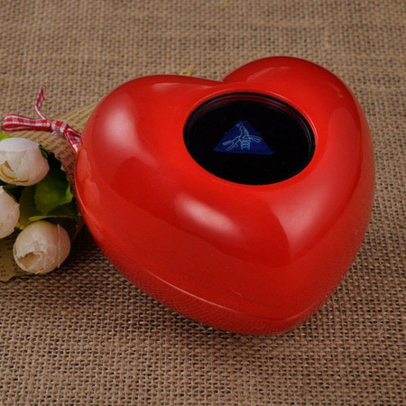 Miłosny Niezbędnik Magiczne Serce i Kości Miłości