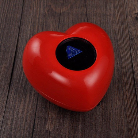 Miłosny Niezbędnik Magiczne Serce i Kości Miłości