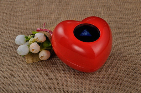 Miłosny Niezbędnik Magiczne Serce i Kości Miłości